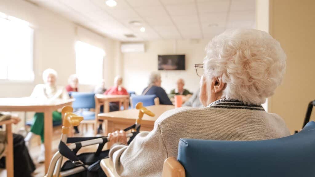 pest control for care homes by thermopest