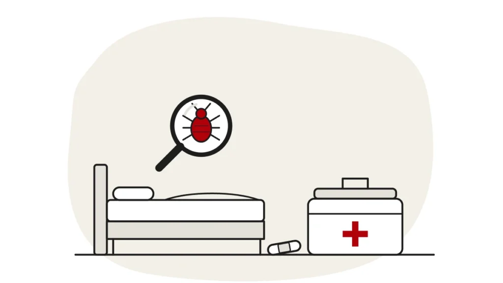 Illustration of a bed, a plaster and a first-aid box, with a bed bug under a magnifying glass