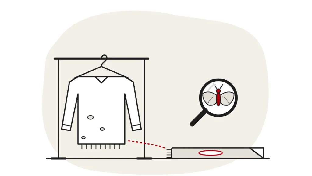 Illustration of a jumper with moth holes on a clothes rail and a rug with a bare patch, with a clothes moth under a magnifying glass