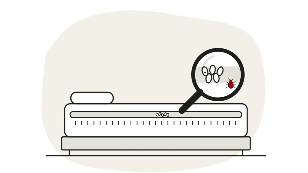 Illustration of a mattress seam with a cluster of bed bug eggs, shown close up under a magnifying glass