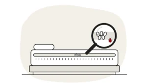 Illustration of a mattress seam with a cluster of bed bug eggs, shown close up under a magnifying glass