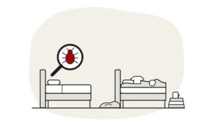 Illustration of a tidy bed and a cluttered bed side by side, with a bed bug under a magnifying glass over the tidy one