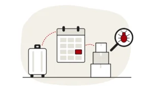 Illustration of a suitcase, a calendar page with one month highlighted in red and a stack of moving boxes, with a bed bug under a magnifying glass