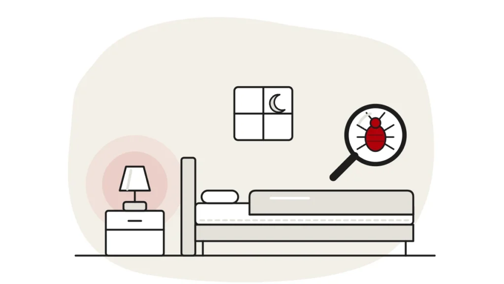 Illustration of a calm bedroom at night with a bedside lamp, with a bed bug under a magnifying glass