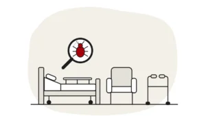 Illustration of a care home profiling bed with a side rail, a high-backed armchair and a walking frame, with a bed bug under a magnifying glass