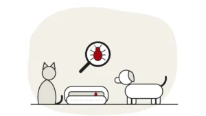 Illustration of a cat and a dog beside a pet bed, with a bed bug under a magnifying glass