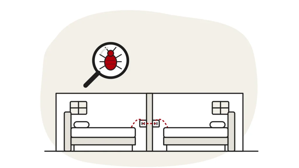 Illustration of two flats side by side with a shared wall and a dashed route through a socket from one bed to the other, with a bed bug under a magnifying glass