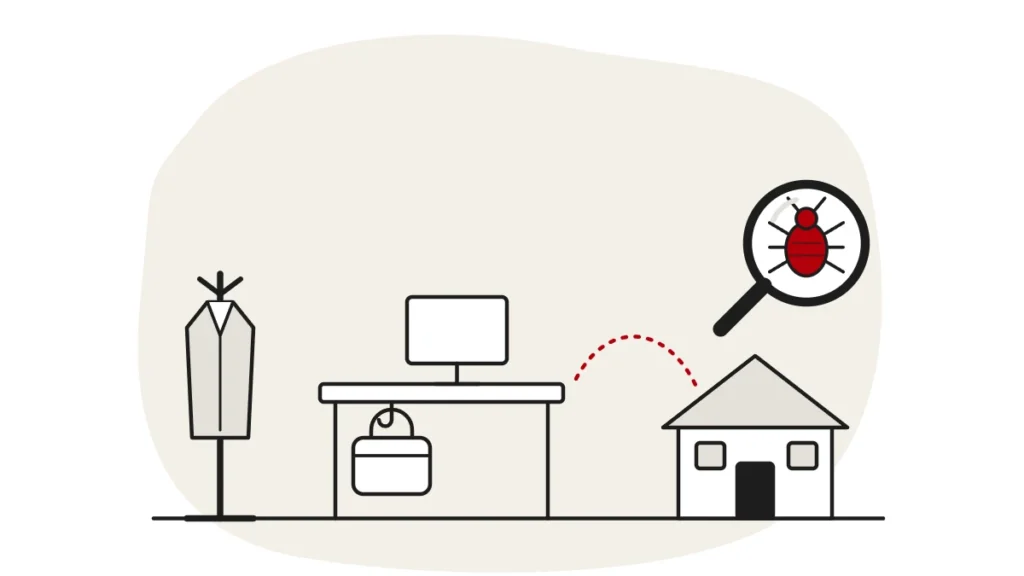 Illustration of an office desk with a bag hung on a hook off the floor, a coat stand and a dashed route to a house, with a bed bug under a magnifying glass