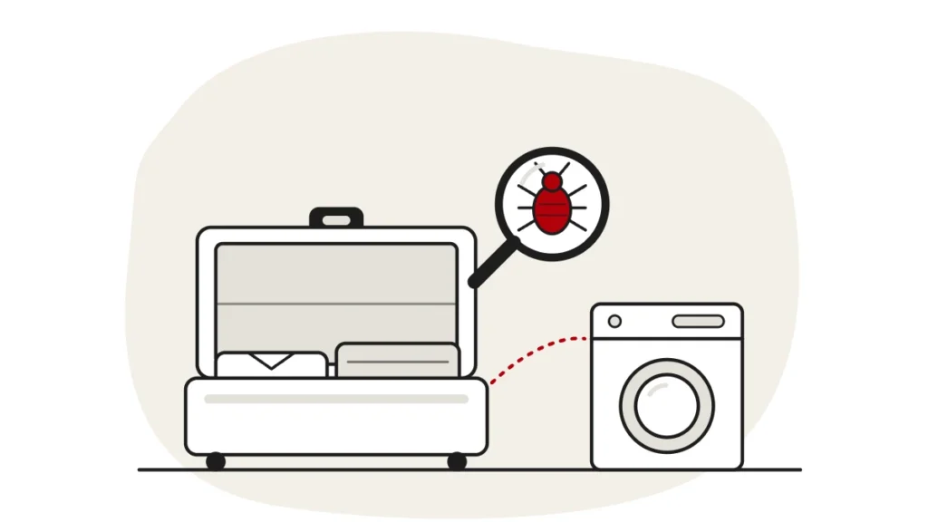 Illustration of an open suitcase with folded clothes and a dashed line to a washing machine, with a bed bug under a magnifying glass