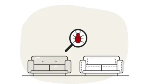 Illustration of a grey leather-look sofa and a white fabric sofa with stitched seams side by side, with a bed bug under a magnifying glass