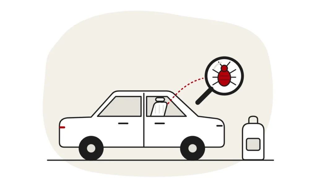 Illustration of a car with a seat visible through the window and a backpack beside it, with a bed bug under a magnifying glass