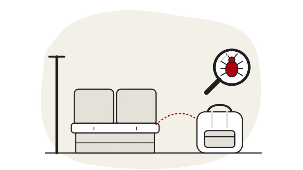 Illustration of train seats, a grab pole and a backpack, with a bed bug under a magnifying glass