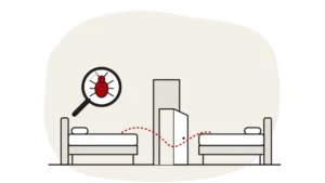 Illustration of two beds in neighbouring rooms with a dashed path through a doorway, and a bed bug under a magnifying glass