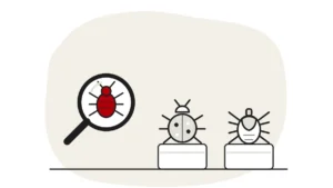Illustration of a bed bug under a magnifying glass beside a carpet beetle and a tick