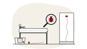 Illustration of a metal bed frame with one leg standing in an interceptor cup, a dashed route up a wall, with a bed bug under a magnifying glass