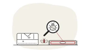 Illustration of a folded jumper with a hole and a rug with a bare patch, with a carpet beetle under a magnifying glass and a small clothes moth beside it