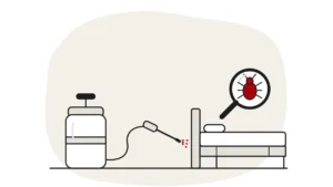 Illustration of a pressure sprayer aimed at a bed frame, with a bed bug under a magnifying glass