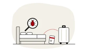 Illustration of a hotel bed, a room key card and a suitcase, with a bed bug under a magnifying glass