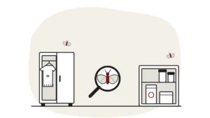 Illustration of an open wardrobe with a jumper and a kitchen cupboard with a cereal box, each with a small moth, and a moth under a magnifying glass between them