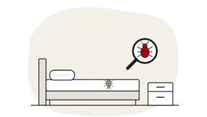Illustration of a bed with a small upturned dead bed bug on the sheet, beside a bedside table, with a live bed bug under a magnifying glass