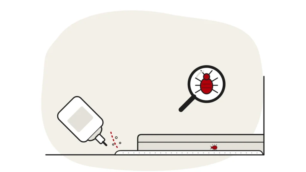 Illustration of a duster bottle puffing powder along a skirting board, with a bed bug under a magnifying glass