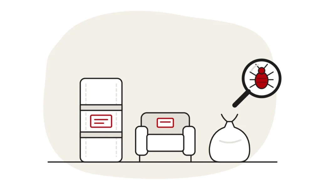 Illustration of a mattress and an armchair wrapped in plastic and labelled, beside a rubbish sack, with a bed bug under a magnifying glass