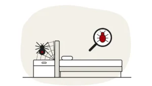 Illustration of a spider on a web beside a bed, with a bed bug under a magnifying glass