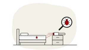 Illustration of a UV wand on a bedside cabinet shining on a mattress, with a bed bug under a magnifying glass