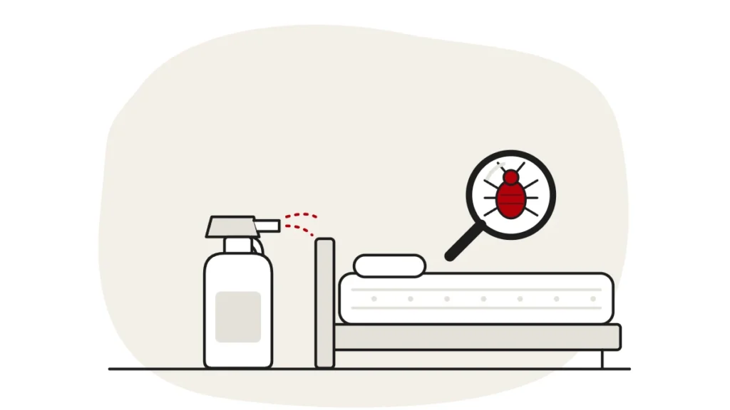 Illustration of an unbranded spray bottle beside a bed, with a bed bug under a magnifying glass