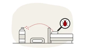 Illustration of an unbranded spray can, a pet bed and a bed, with a bed bug under a magnifying glass