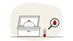 Illustration of an open chest freezer with a sealed bag going in, a small freezer thermometer, and a bed bug under a magnifying glass