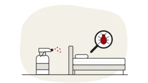 Illustration of an unbranded spray bottle beside a bed, with a bed bug under a magnifying glass