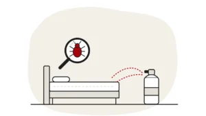 Illustration of an unbranded aerosol spray can beside a bed with a dashed spray arc towards the mattress, and a bed bug under a magnifying glass