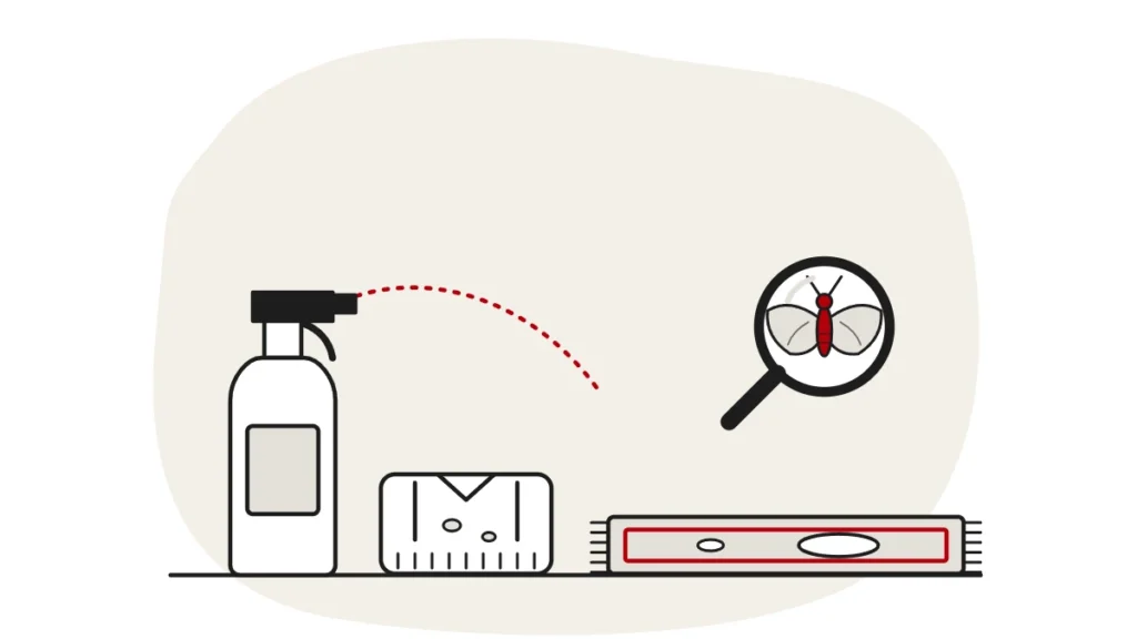Illustration of an unlabelled spray bottle, a folded jumper with moth holes and a rug with bare patches, with a clothes moth under a magnifying glass