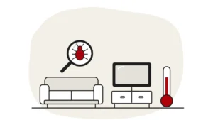 Illustration of a sofa, a TV on a stand and a thermometer, with a bed bug under a magnifying glass