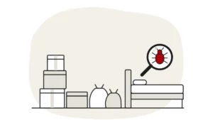 Illustration of stacked boxes and tied bags beside a bed, with a magnifying glass showing a bed bug