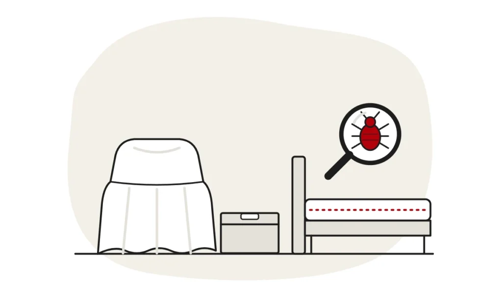 Illustration of a covered armchair, a storage box and a bare mattress, with a bed bug under a magnifying glass
