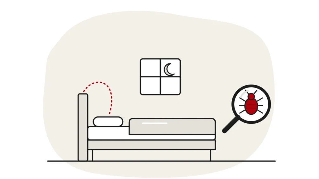Illustration of a bed at night with a moon in the window and a dashed path to the pillow, with a bed bug under a magnifying glass