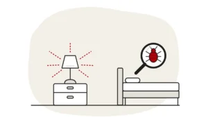 Illustration of a switched-on bedside lamp beside a bed, with a bed bug under a magnifying glass