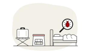 Illustration of a bed with a rumpled duvet, a suitcase on a luggage rack, a sealed bag of clothes and a bed bug under a magnifying glass