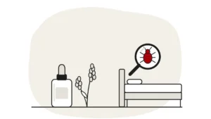 Illustration of a small oil bottle and a lavender sprig beside a bed, with a bed bug under a magnifying glass
