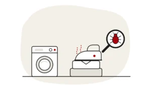 Illustration of a washing machine and folded clothes with an iron, with a bed bug under a magnifying glass