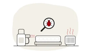 Illustration of a handheld steamer aimed at a mattress and a portable heater with warm air lines, with a bed bug under a magnifying glass