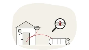 Illustration of an open front door with a dashed route leading in from a rolled rug and a bird nest on the roof edge, with a clothes moth under a magnifying glass