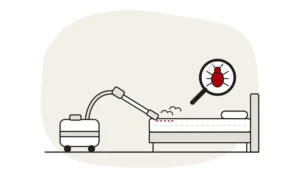 Illustration of a steam cleaner with its wand on a mattress seam, with a bed bug under a magnifying glass